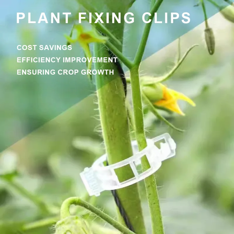 Green Plant and Fruit Tree Fixing Clips Snap Clips Fruits Vegetable Seedling Hanging Clips Preventing Lodging for Home Gardening