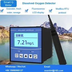 Seawater fresh water do meter dissolved oxygen waste water RS485 output transmitter sensor with display controller detector