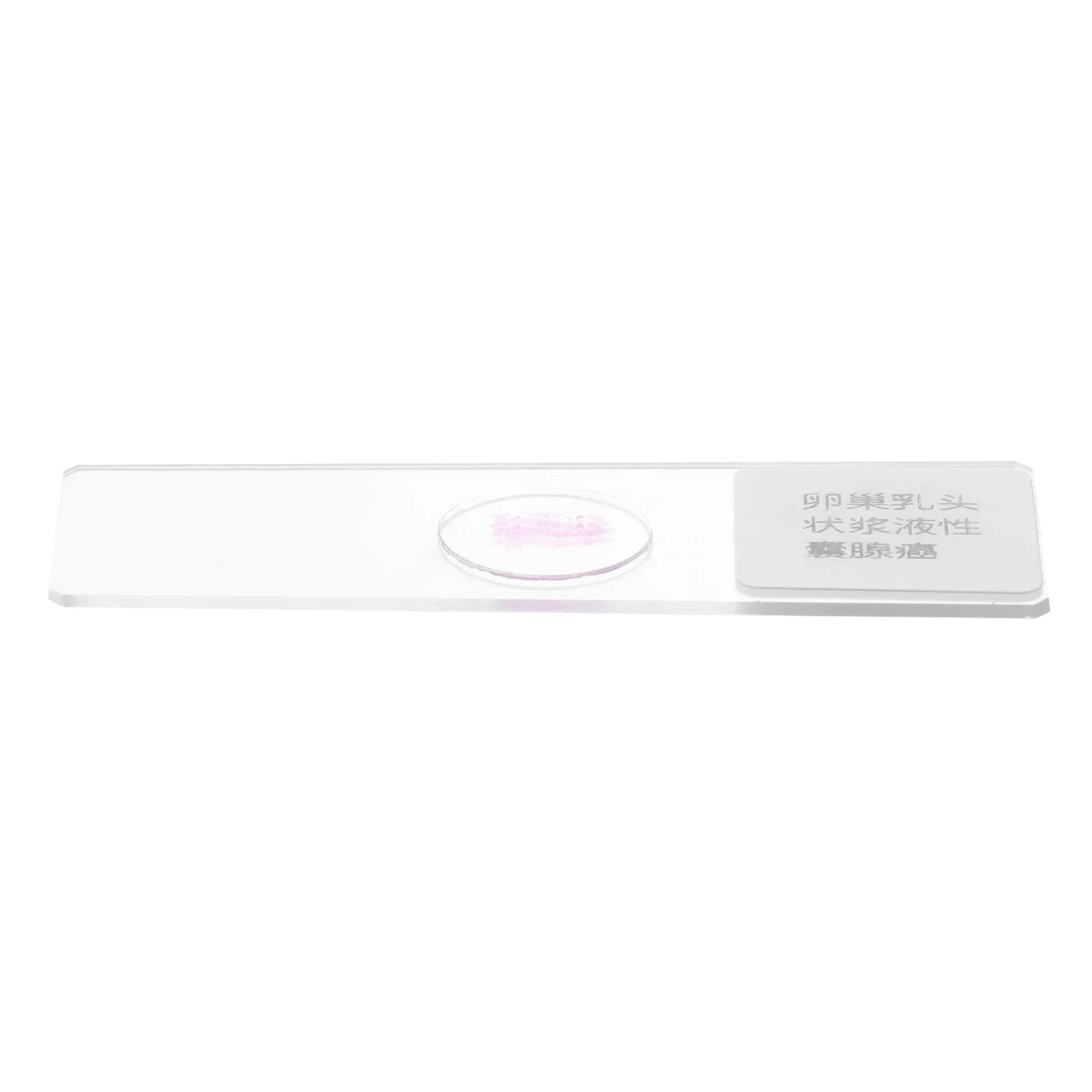 

Cell Slides Microscope Accessories Specimen Glass Biological Science Education for Research