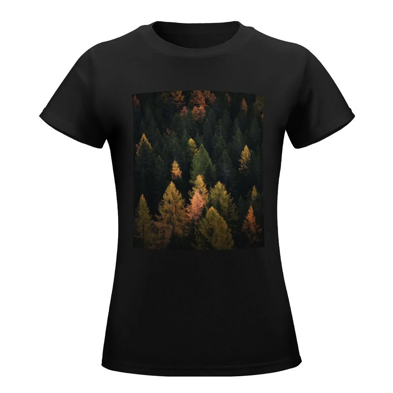 Enchanting Autumn Pine Trees Forest Landscape T-Shirt tees new edition cute clothes designer clothes Women luxury