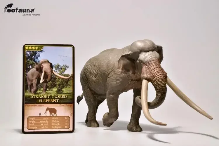 IN STOCK Eofauna 1:35 Scale Straight-tusked Elephant Figure Prehistoric Animal Model Toy Collector Palaeoloxodon Unisex Gift