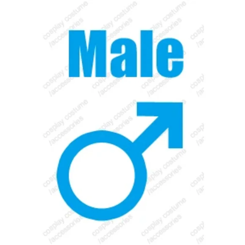 DY20High school Busujima Saeko Cosplay personalizado25