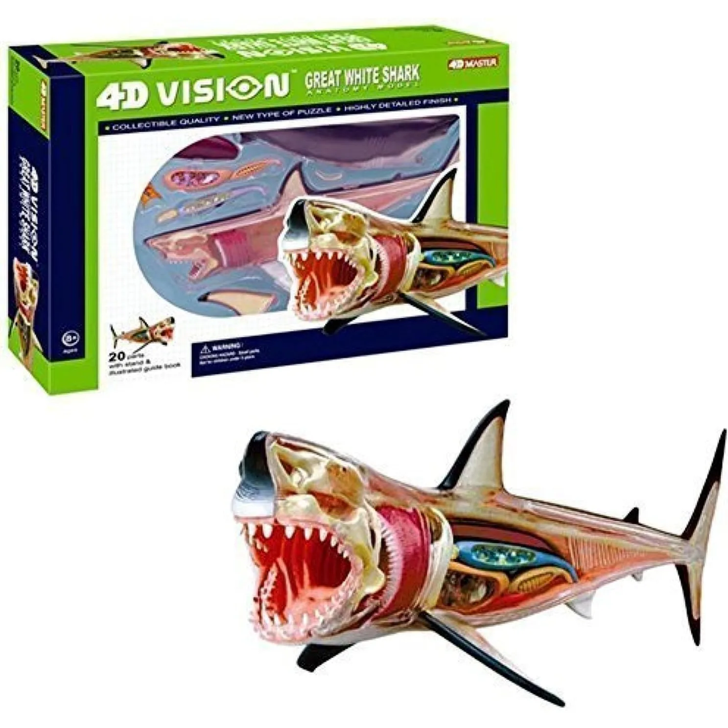 

4D Vision Great White Shark Anatomy Model