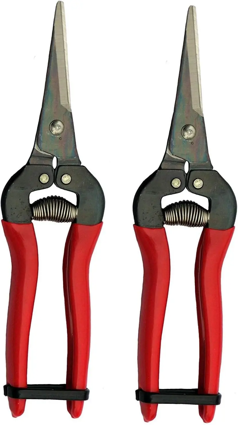 ARS HP-300L Needle Nose Fruit Pruners (2 Pack)