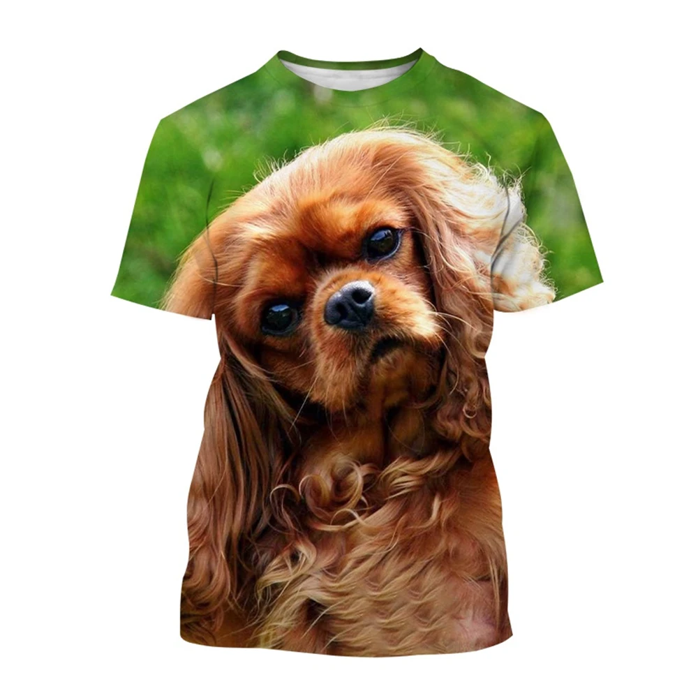 Beautiful Cavalier Dog 3D Printed T-Shirt King Charles Spaniel Fashion Men/Women\'s Personality Hip Hop Casual T-Shirt