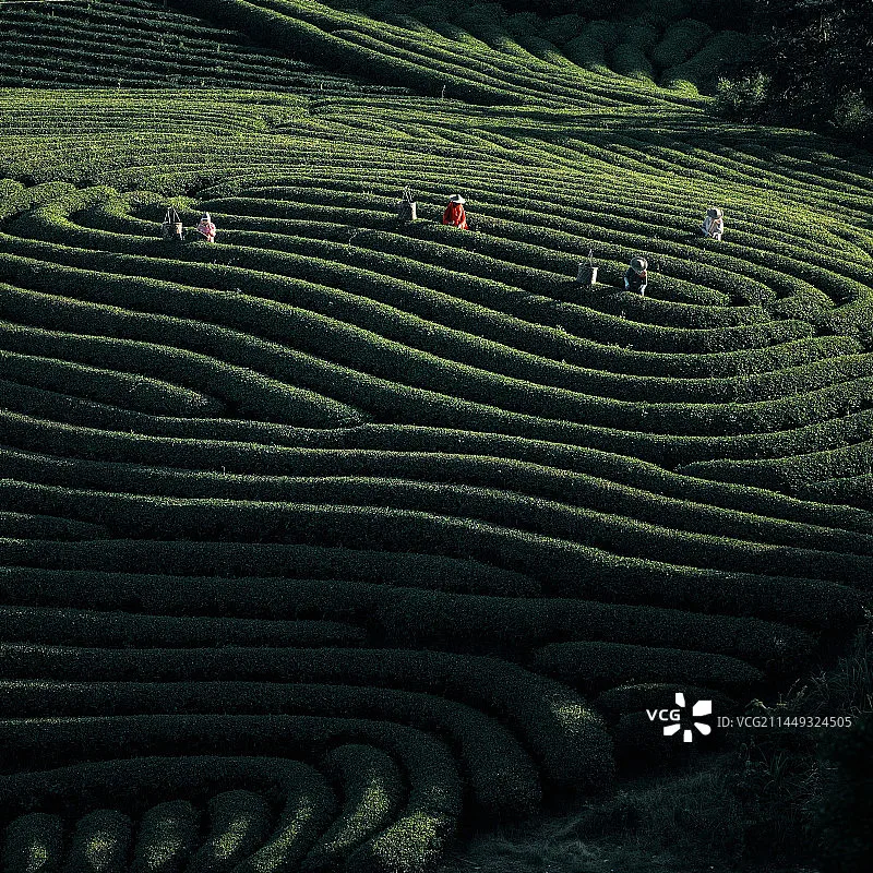 JJRC C8812 lumière LED échelle complète réservoir sur chenilles modèle de Simulation jouet RC voiture dérive télécommande véhicule tout-terrain pour les enfants