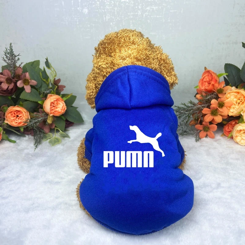 PUMN Dog Spring Hoodie Sweatshirts with Pockets Warm Dogs Clothes for Small Dogs Chihuahua Coat Puppy Cat Custume French Bulldog