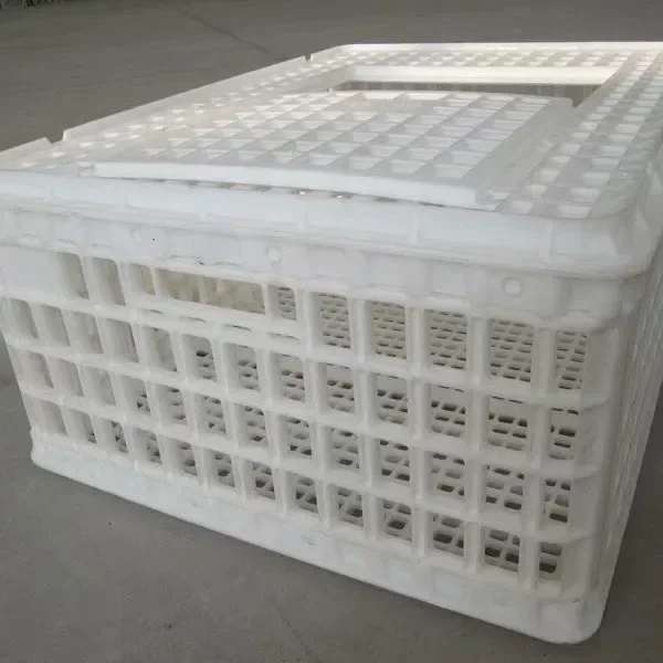 Custom New Live Plastic Chicken Transport Crates Turnover Transport Boxes For Poultry 1-Year Warranty Chickens Cage