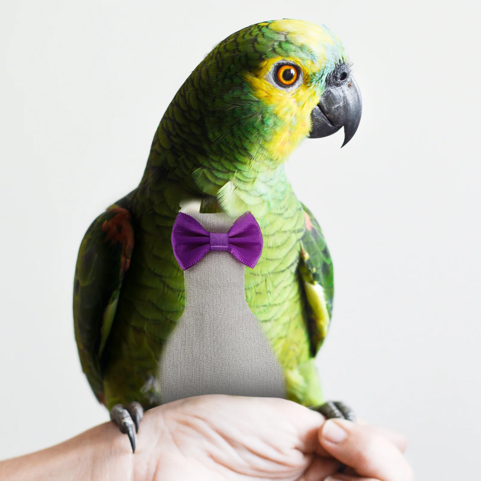 

Cotton Parrot Flight Costume Beautiful Printed Pattern for Parakeets Cockatiels Lightweight Reusable Bird Diapers Easy Clean
