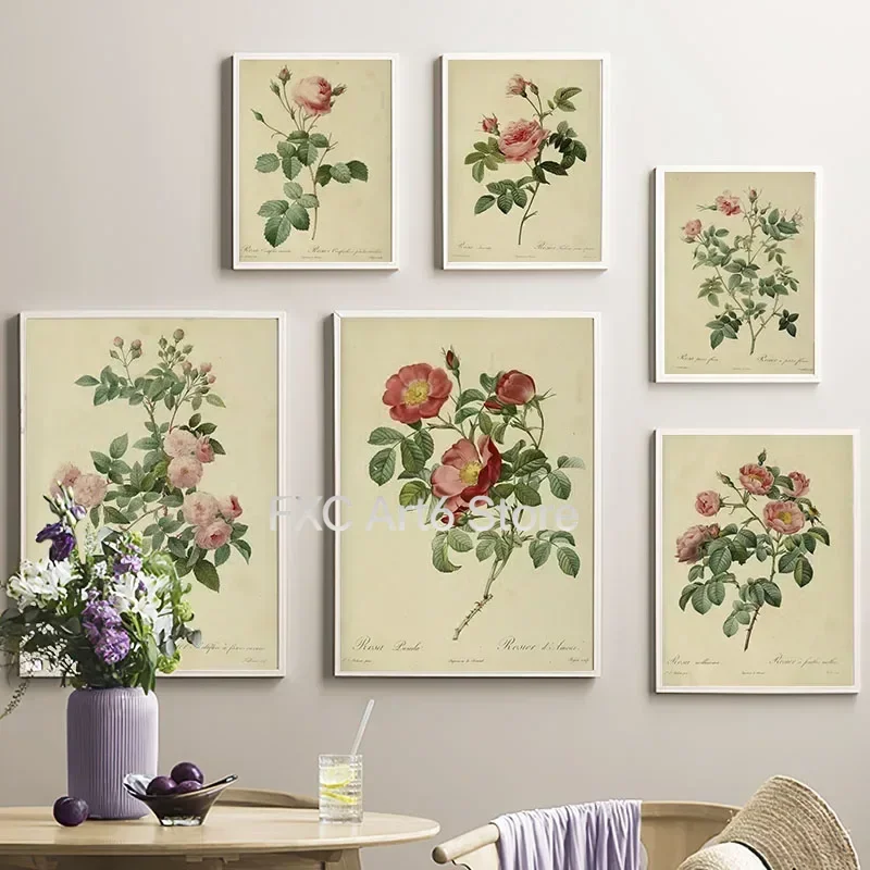 1PCS frameless Canvas PaintingPlantas Antiguas, Ilustraciones De Flores Rosas,  E Impresiones Vintage, Imágenes Para El Hogar, H