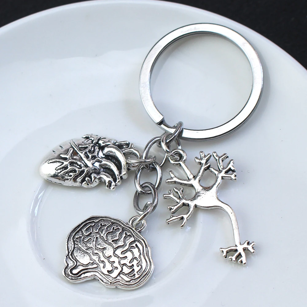 Medical Anatomy Keychain Brain Heart Nerve Cell Shaped Keychain Doctor Nurse Bag Keyring Jewelry Gift