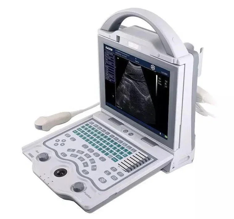 Extraordinary Portable Veterinary Ultrasound Scanner / Clear Image Laptop Vet Ultrasound Equipment B40VET-P