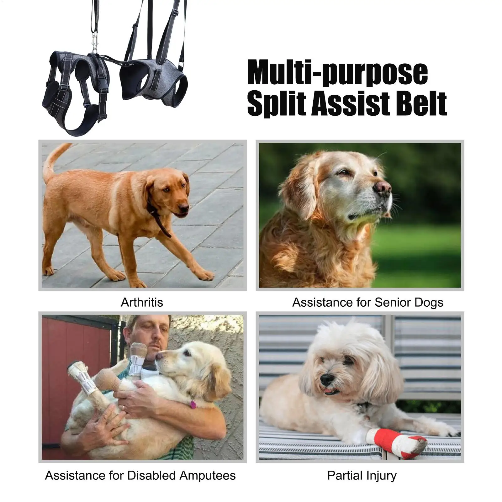 

Подъемник всего тела для собак, поддерживающий слинг, помощь для переноски, жилет, бандаж для травмной мобильности, восстановления для инвалидов, реабилитационный поезд