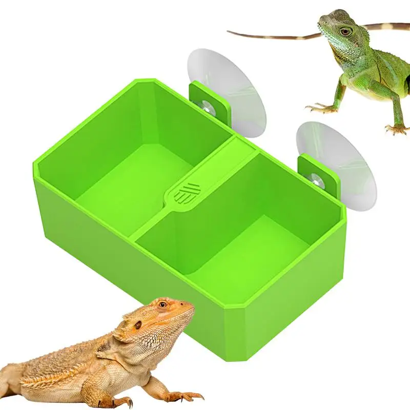 Chameleon Feeding Bowl Reptiles Feeder Water Bowls 2 Grid Reptile Food Bowl Feeder Water Bowls For Gecko Lizard Bearded Snakes