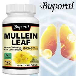 Mullein Leaf - Clean The Lung Protecting The Respiratory System Relieve Phlegm and Cough Immune Support