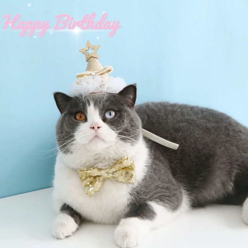 

Pet Cats, Dogs, Rabbits, Birthday Lace Five-pointed Star Three-dimensional Hat, Sequined Bow Tie, Bow Tie Party Set