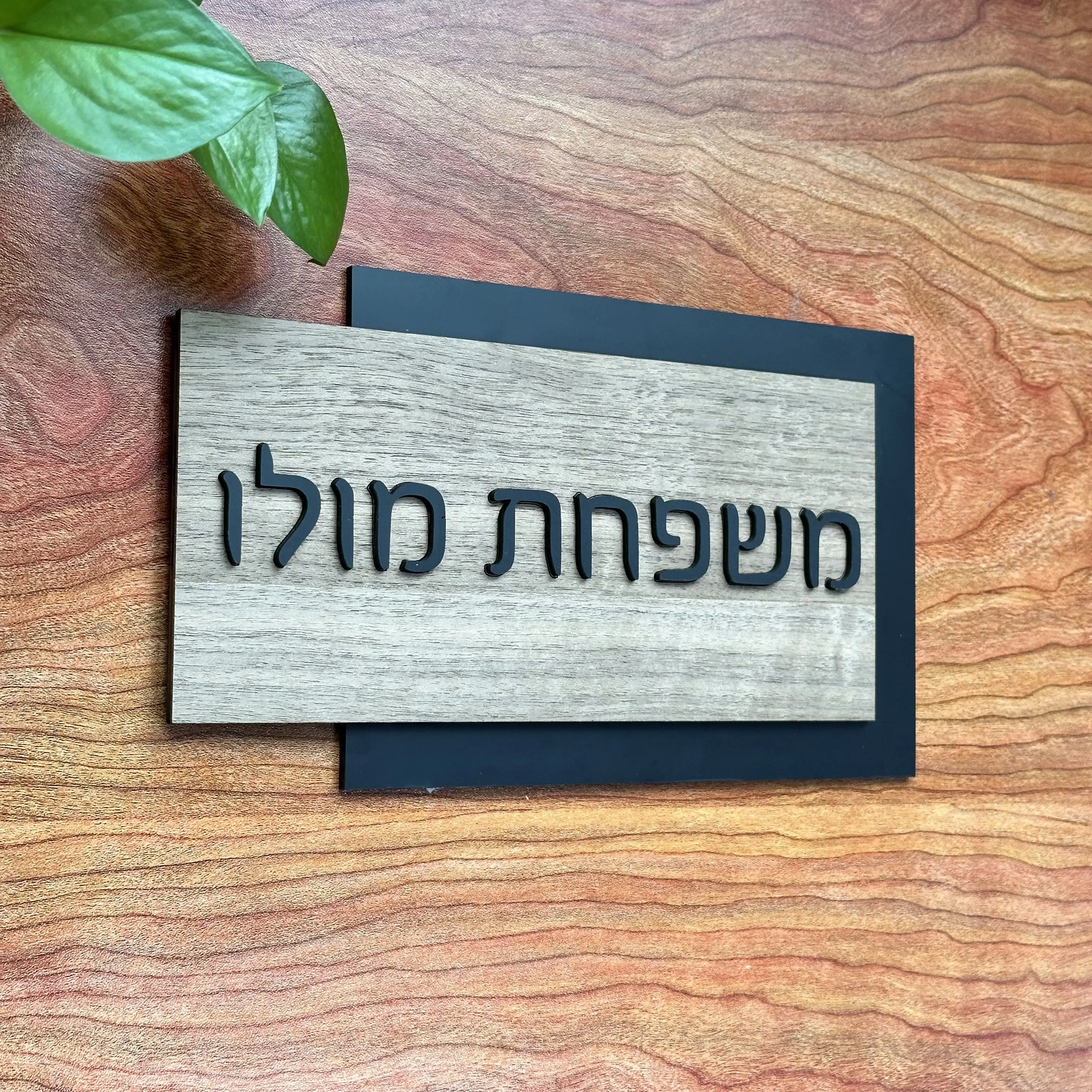 Custom Acrylic Name Sign with House Number 4