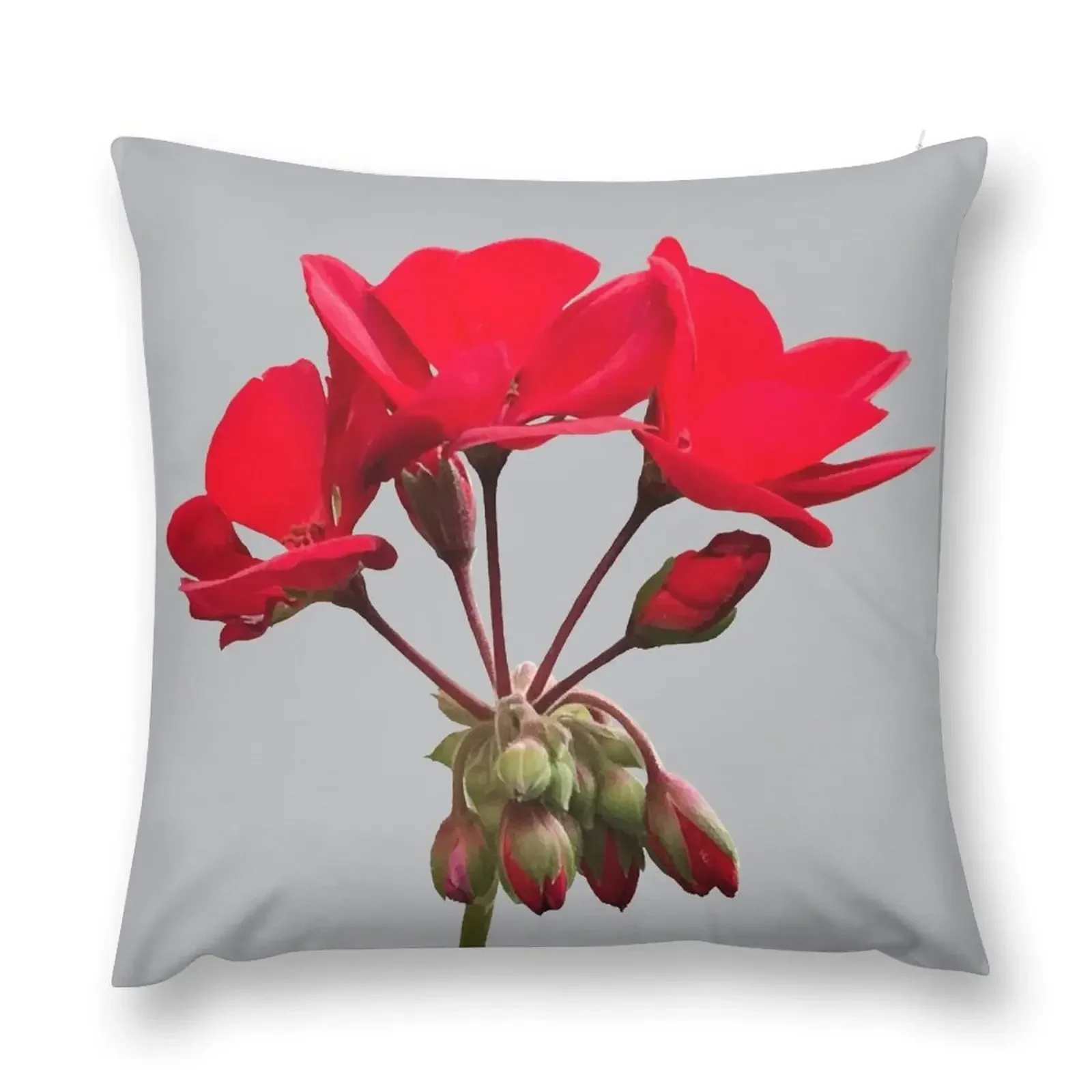 

Red Geranium Flower with Buds Throw Pillow Couch Pillows christmas decorations for home 2025 pillow