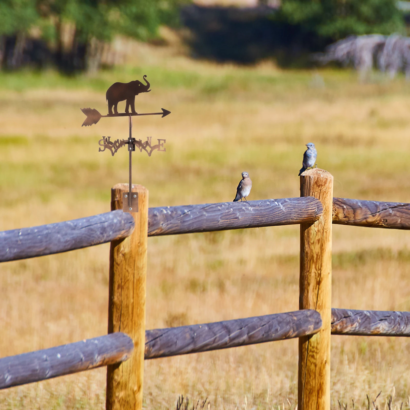 

Stainless Steel Weathervane Painted Outdoor Decorative Wind Vane Waterproof Metal Weather Vane Yard