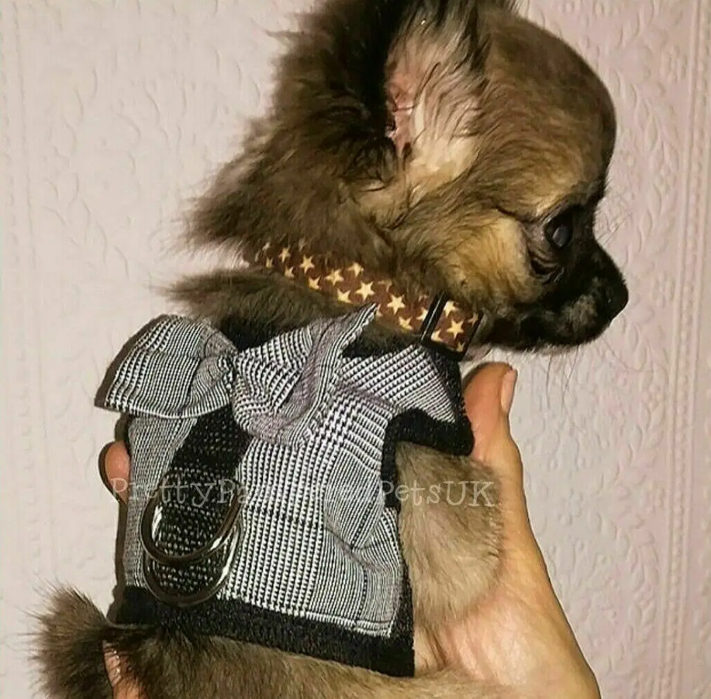 Dog Teacup Chihuahua Harness Lead Mesh Vest XXXS XXS XS for Tiny Kitty Cat Yorkie Soft Vest Leash Set Rabbit Cat Puppy Coat