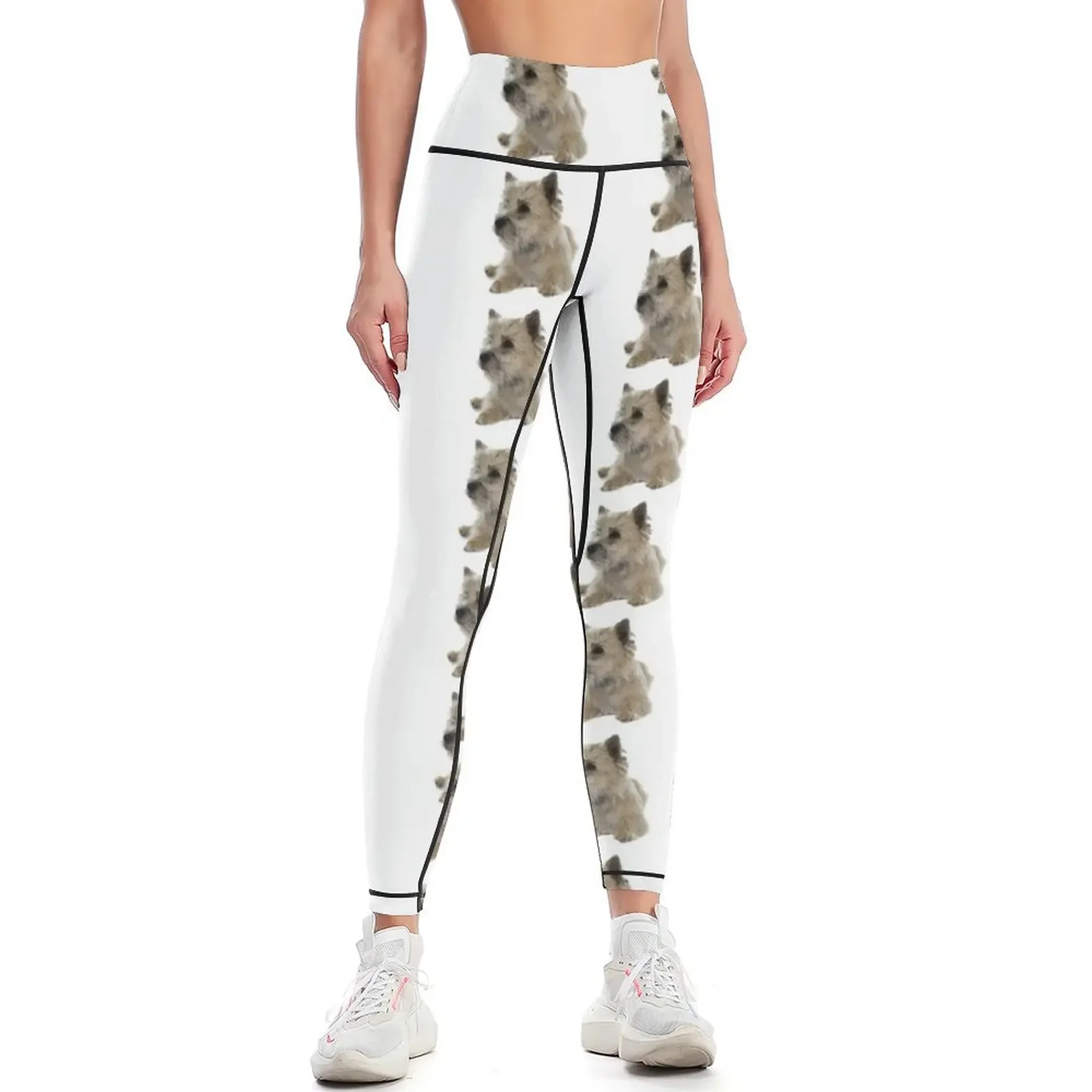 

Cairn Terrier Leggings sports shirts gym Women's pants high waist Training pants Womens Leggings