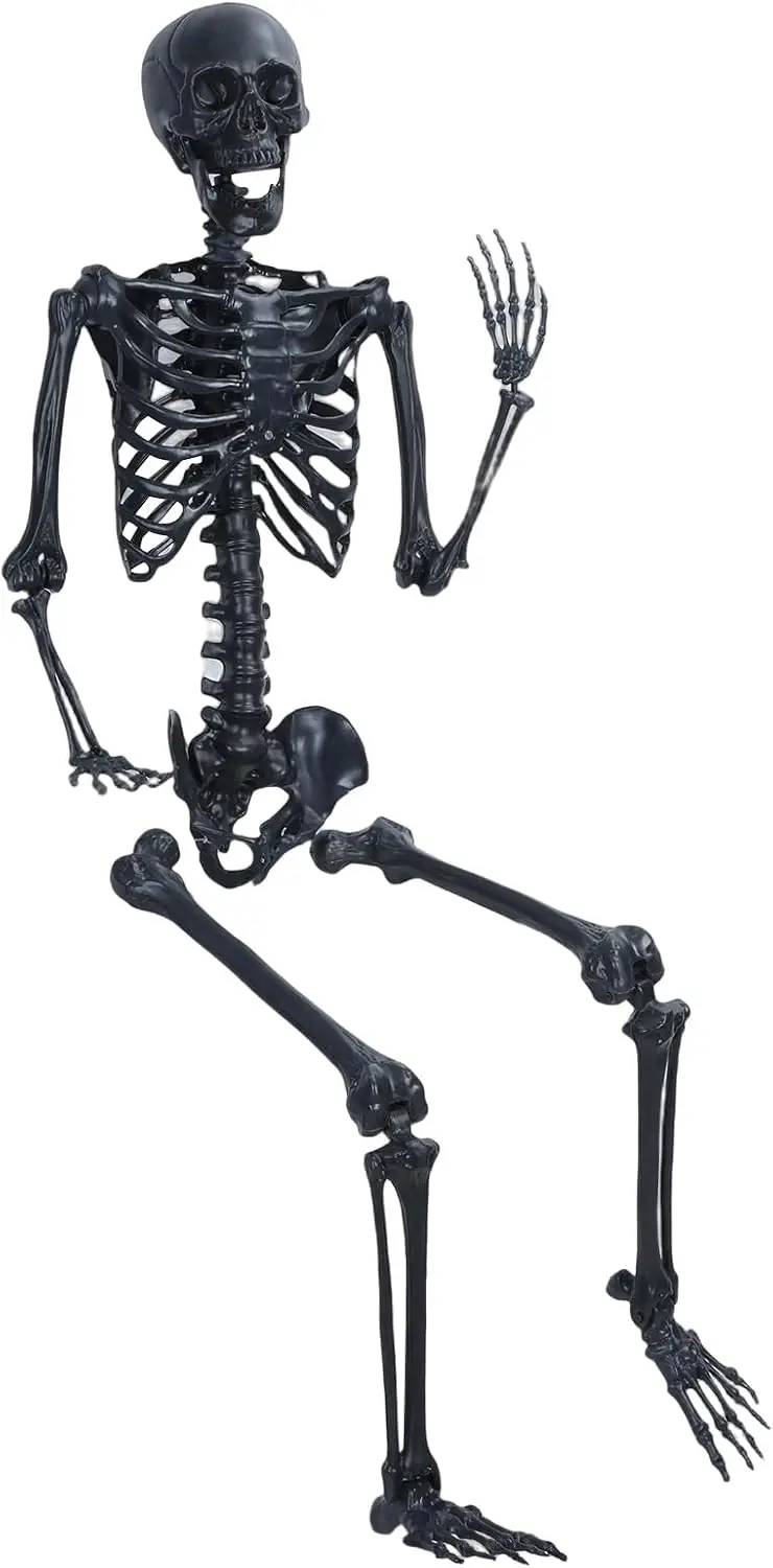 

5,4 фута Хэллоуин Скелет в натуральную величину Человеческий скелет всего тела, Хэллоуин Все тело Позимые человеческие кости с подвижными суставами