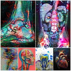 Abdominal Anatomy Ankle Spine Dental Medical Poster Wall Art Canvas Painting Home Decor Wall Pictures For Living Room Unframed
