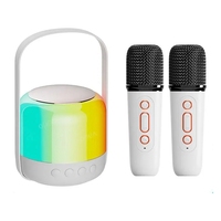 RGB Colorful LED Light Bluetooth 5.3 PA Speaker Wireless Dual Microphones KTV DSP System 3D HIFI Stereo Surround Durable