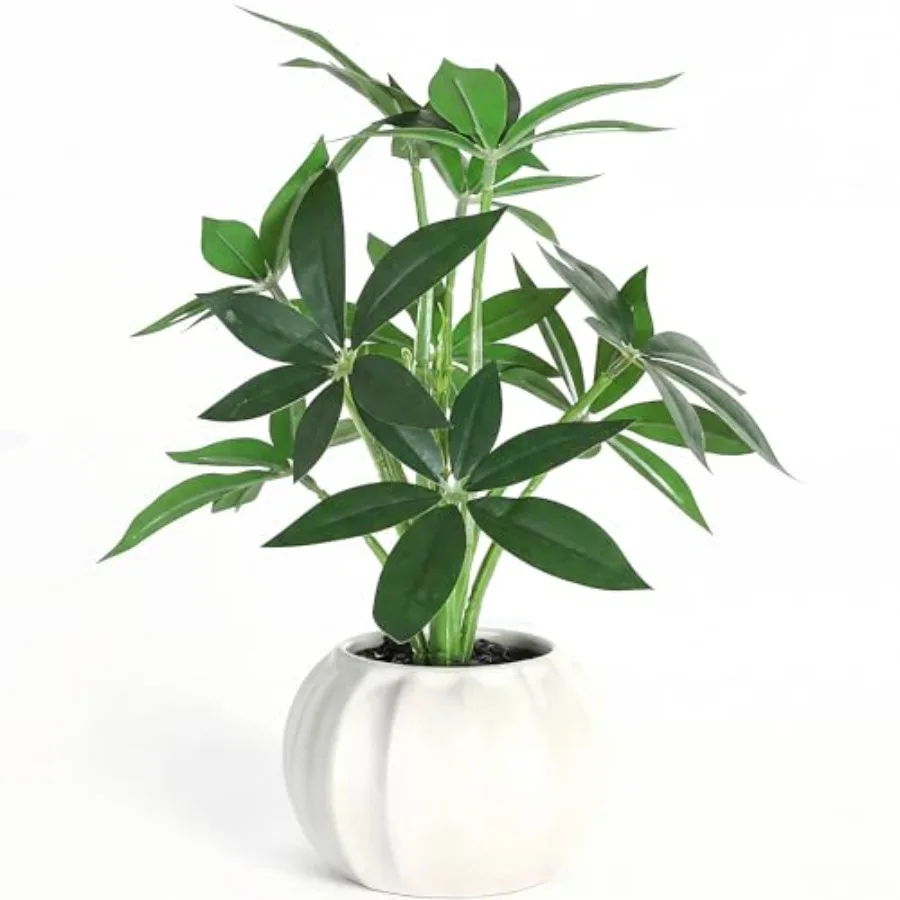 

Artificial Plants Stems with Vase, 9.1" Fake Plants for Home Decor, Coffee Table Centerpieces, Office, Bathroom and Farmhouse W