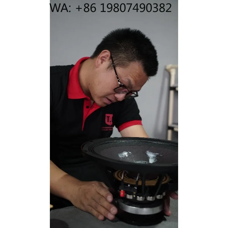 

Dual 10 Inch High Power Passive Line Array Speaker Professional Sound System for Concert Stage and Large Events