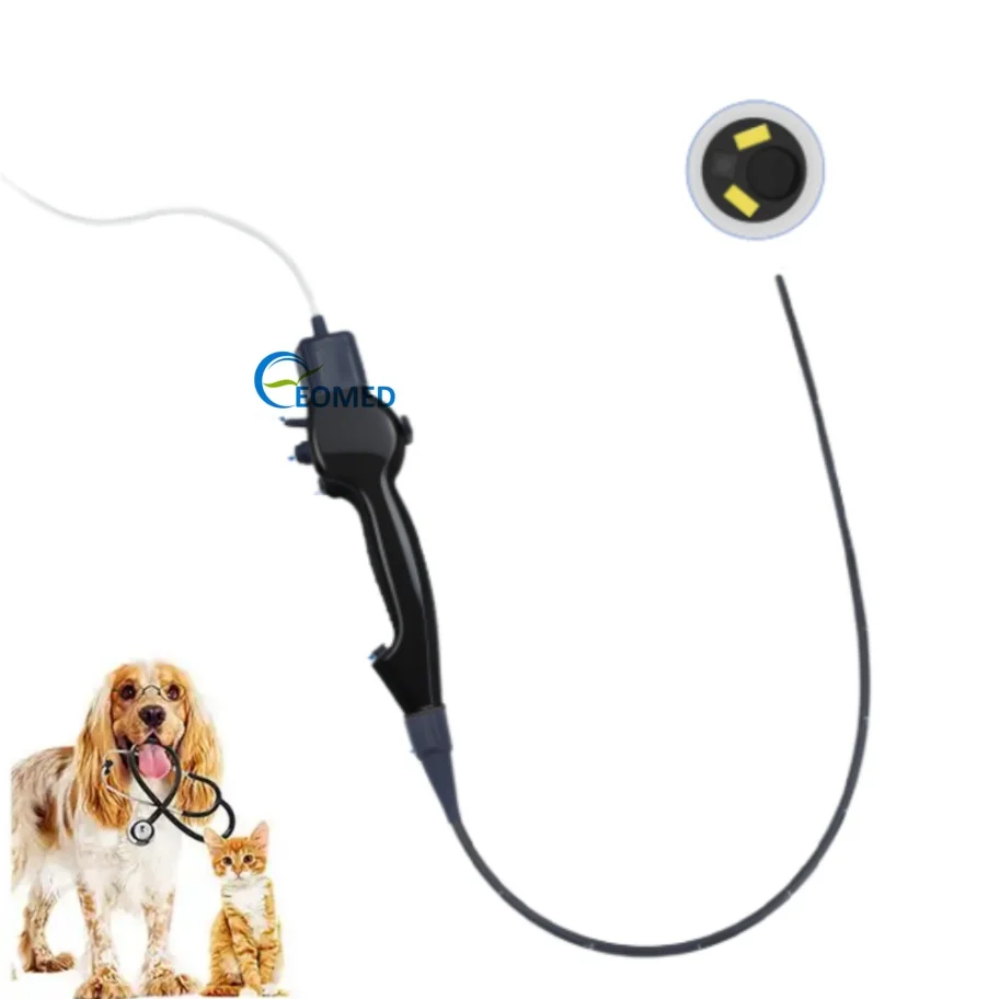 Top-Grade EOMED Disposable Flexible USB Veterinary Endoscope Dog Gastrointestinal Inspection