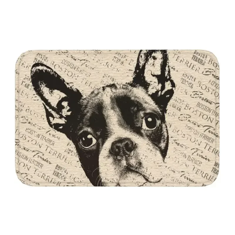 Boston Terrier Dog Front Door Mat Anti-Slip Outdoor Quick Dry Pet Art Puppy Doormat Living Room Entrance Rug Carpet