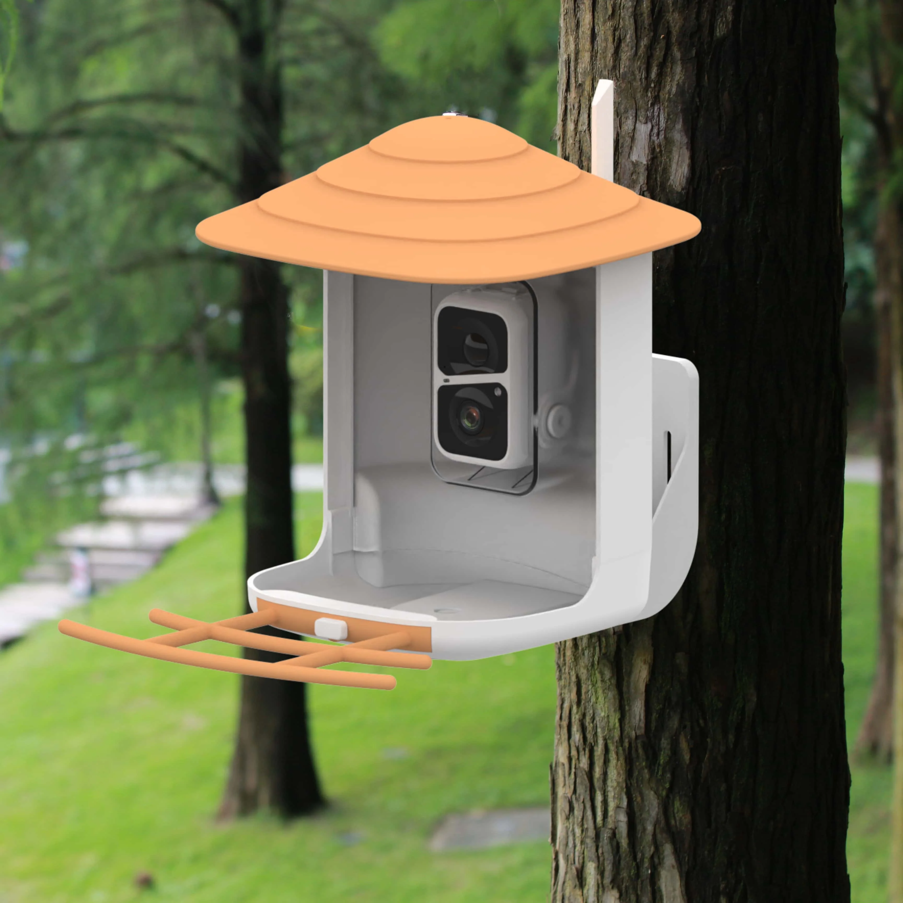 Al Automatic Identification Smart Bird Feeder With Camera