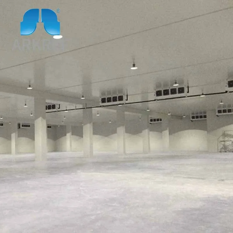 ARKREF Walk In Freezer Room , Industrial Fridge Freezer System , Industrial Refrigeration Chamber