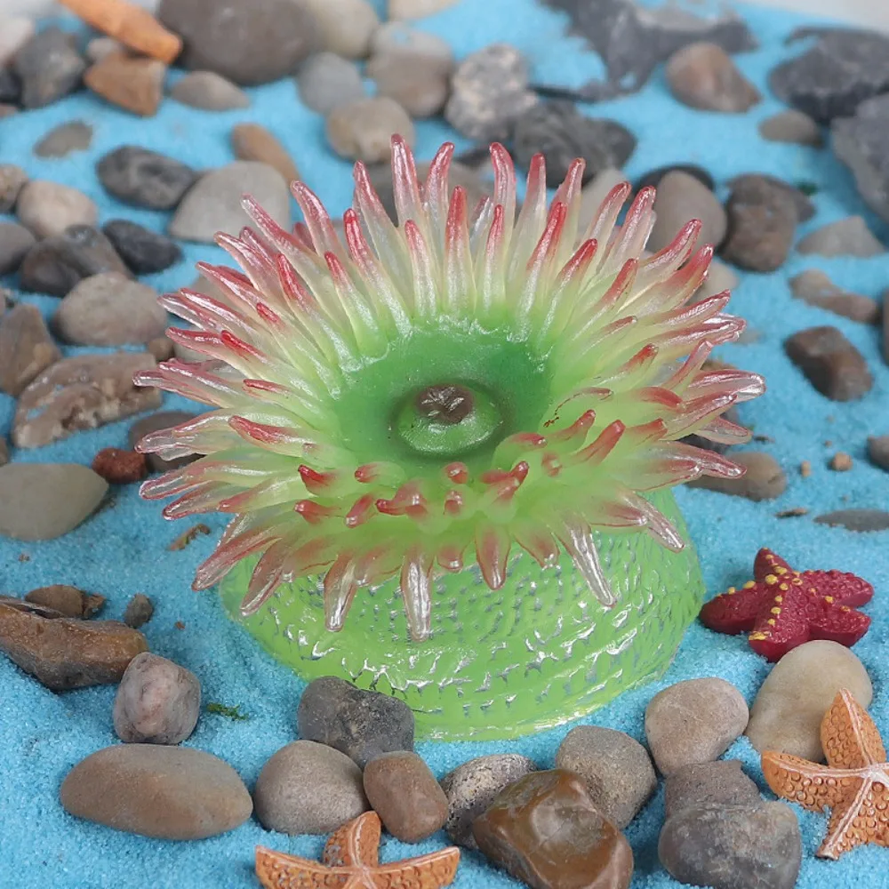 

Marine Animals Ocean Animal Figurine Lifelike multi-colored Jellyfish Starfish Anemones Solid Plastic