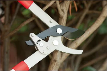 

SBTools 29.5\" Power Saving Gear Bypass Pruner Efficient and Eco-Friendly Garden Tool
