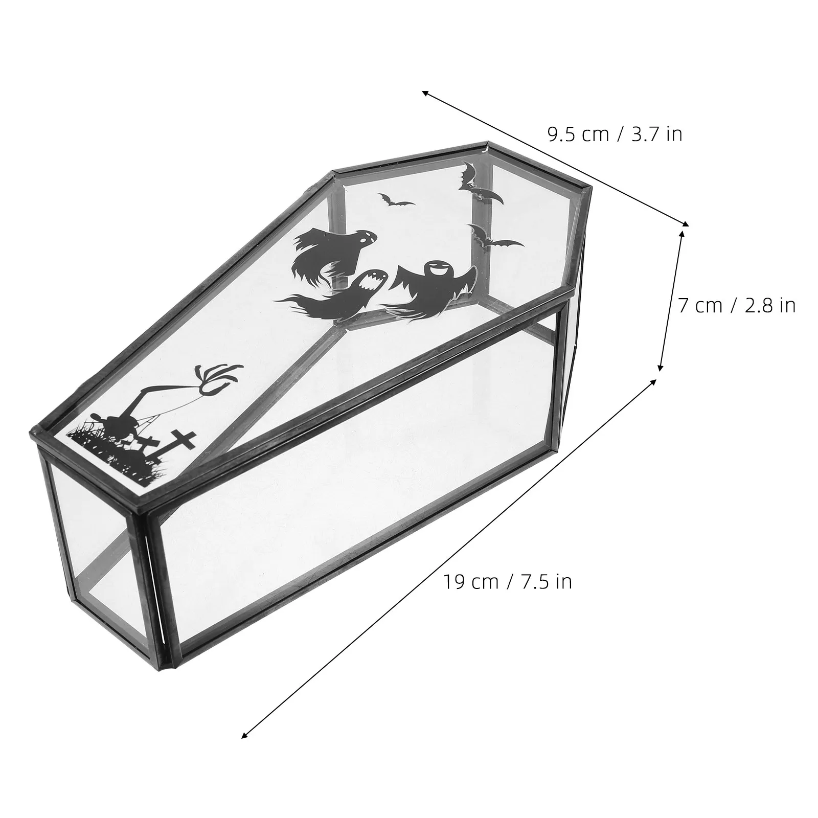 Coffin Shaped Glass Box Black Metal Frame Clear Lid Gothic Jewelry Storage Vintage Trinket Holder Vampire Keepsake Display