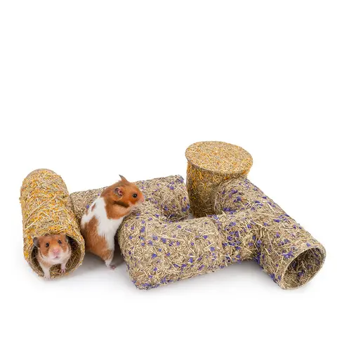 Hamster Tunnel & Grass-Based Modular Pathway – Suitable for Dwarf and Syrian Hamsters (Toy & Habitat Accessory)