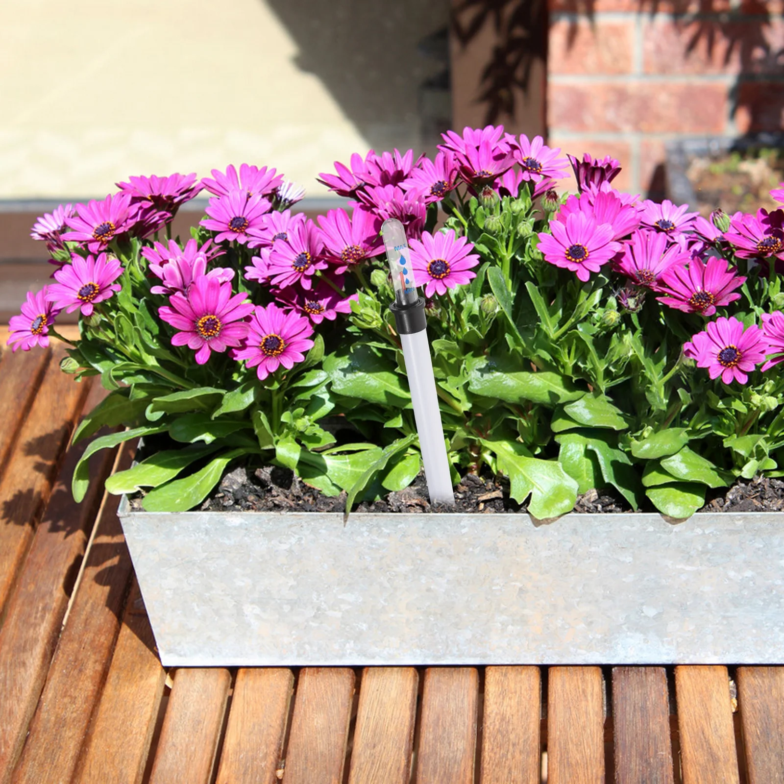 

4Pcs Water Level Indicator Gauge for Plants - Buoyant Display Meter for Potted Plant Hydration and Water Shortage Reminder