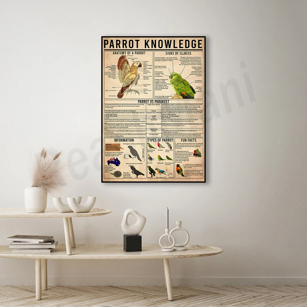 Parrot Knowledge Poster, Parrot Anatomy, Types of Parrots, Parrots vs. Parakeets, Signs of Parrot Diseases, Parrot Facts