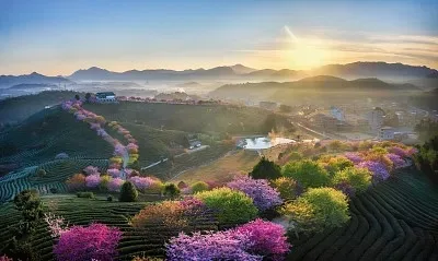 

Комплект из 4 металлических колес TRX4M с шинами 1 дюйм и ступицами для радиоуправляемых краулеров 1/18: TRX4-M Defender, Bronco, SCX24, FMS