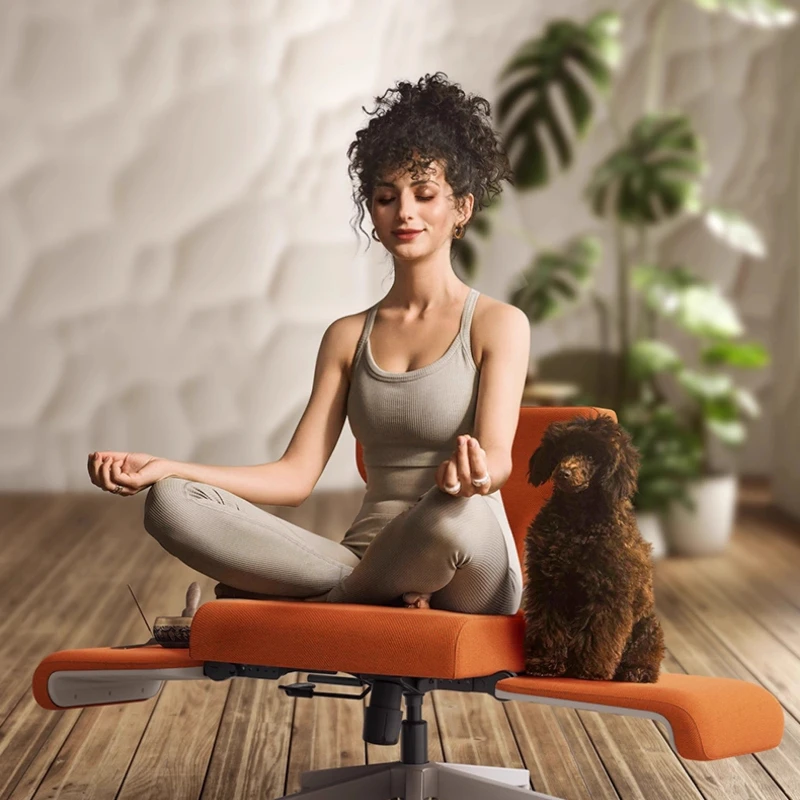 Freedom-X Chair, Multifunctional Office Chair, Reclining Single Sofa/Lounge Chair, Swivel Chair with Pet Bed, Home Gaming Seat