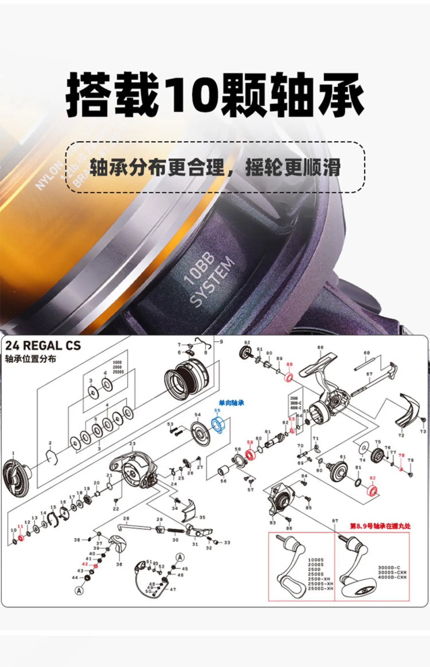 24 DAIWA REGAL CS LT Spinnrolle 9+1BB Maximale Bremskraft 5-12kg Angelrolle mit tiefer Spule für lange Würfe und zum Spinnfischen – Detail 4