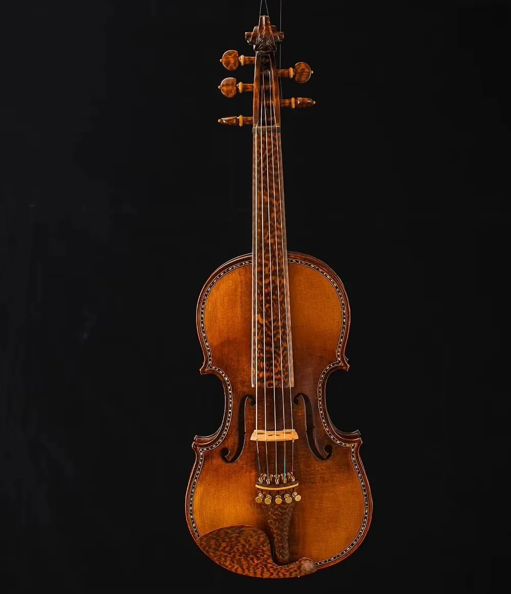 New 5 strings 4/4 Violin excellent SONG Master,perfect Bird's eye Maple wood,Carved rib neck#15553