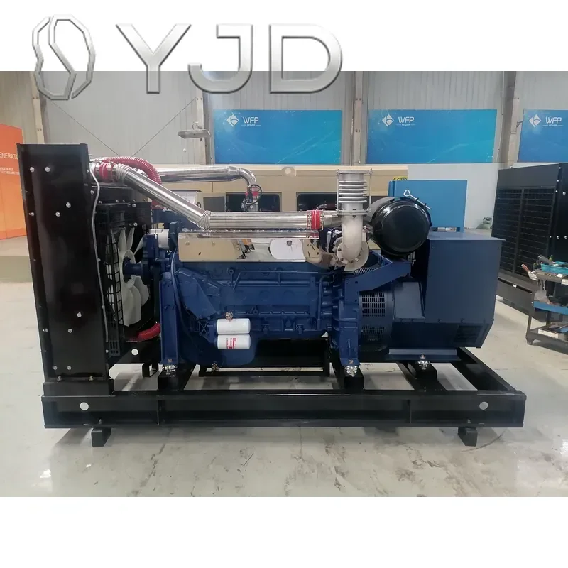 Gas Generator 200kw 250kva 50hz Natural Gas Biogas Open-type Auto Start Remote Start DC