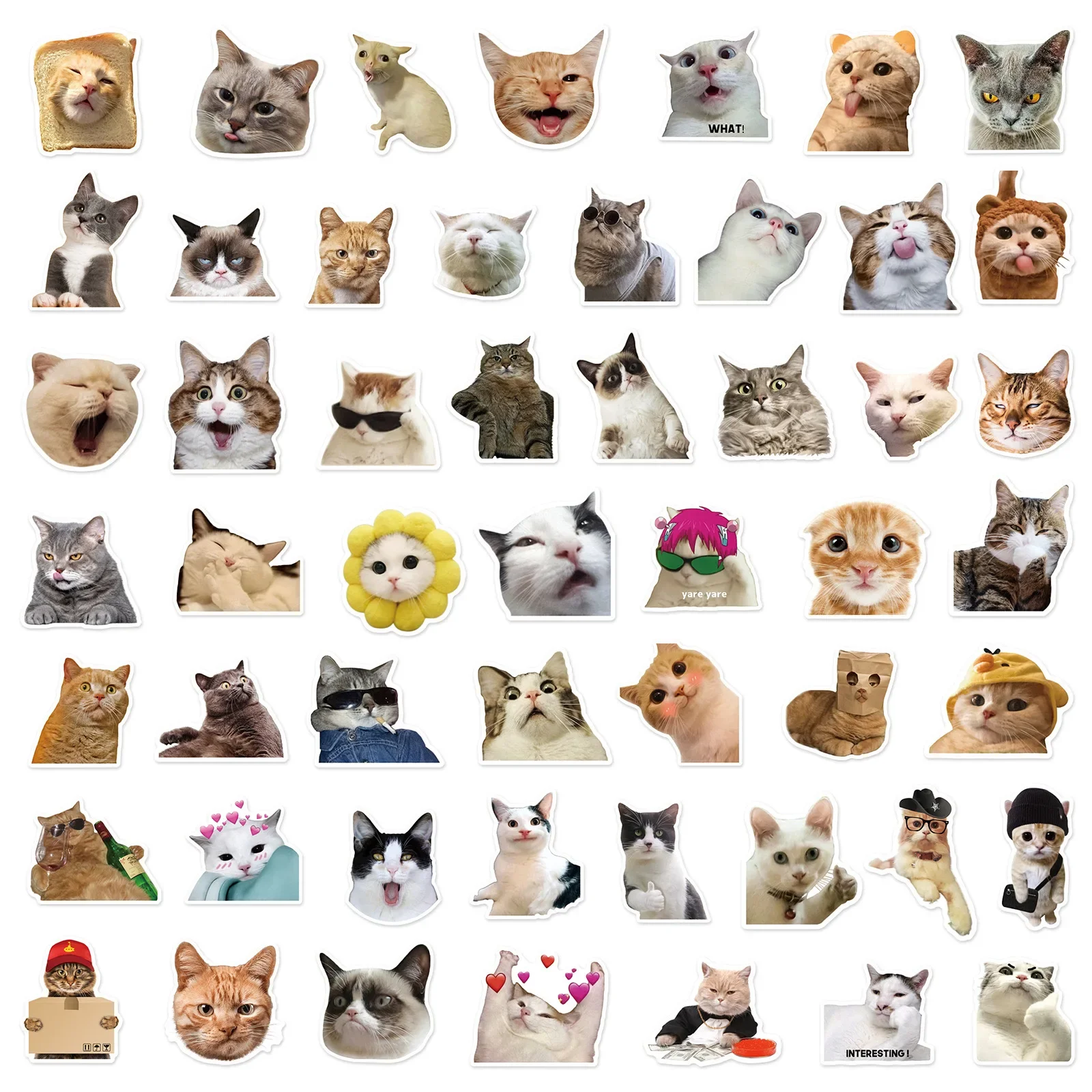 10/50pcs Cute Funny Cat Meme Stickers Aesthetic Kawaii Decals DIY Fridge Notebook Skateboard Phone Bike Car Graffiti Sticker Toy