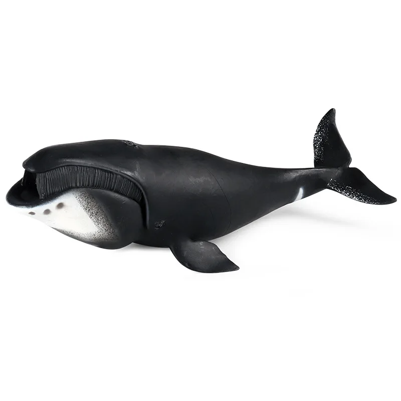 

Simulated marine life model toys bowhead whale, sperm whale, shark, children's early education, cognitive doll, ornament