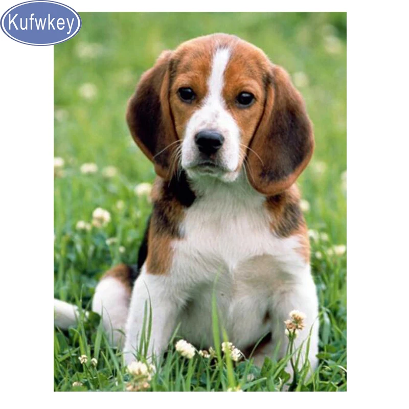 

Алмазная живопись с собакой, животным, полноразмерная картина, вышивка крестиком, наборы алмазной мозаики 5d, алмазная вышивка «сделай сам», распродажа, Бигль, Декор