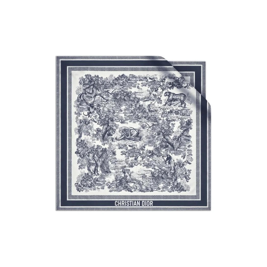 DIOR Mulberry Silk Scarves Women's 15JOU090I602-C545