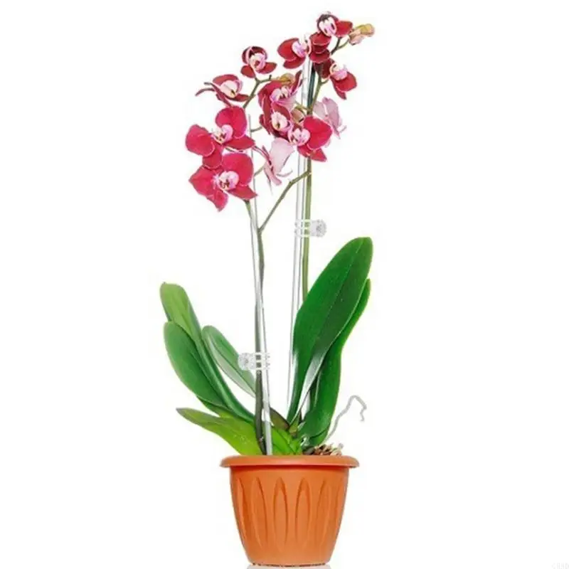

20PCS Garden Plant Supports with Fix Clip for Flower Stem Growth 17inch Clear C5AD